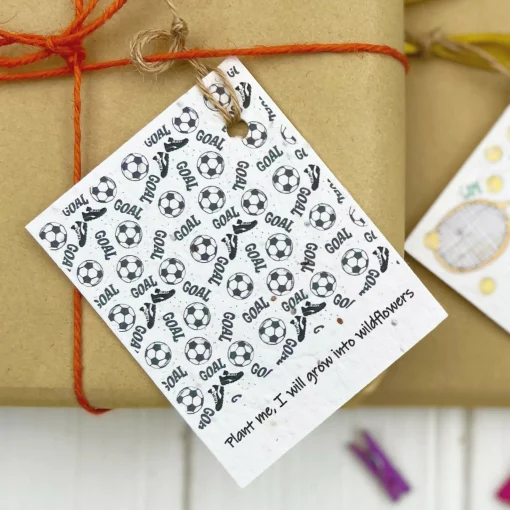 Set of Four Seed Card Gift Tags - Football Design