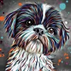 SHITZU DOG COLOUR SPLASH MOUNTED ARTWORK.