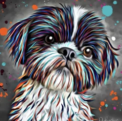 SHITZU DOG COLOUR SPLASH MOUNTED ARTWORK.