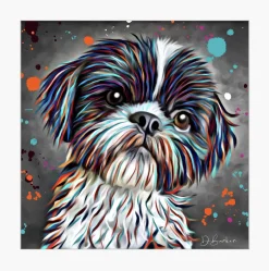 SHITZU DOG COLOUR SPLASH MOUNTED ARTWORK.