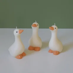Silly Goose