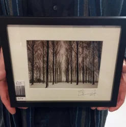 Snowy Trees (small frame)