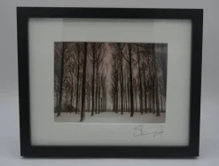 Snowy Trees (small frame)
