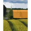 South Dalton