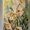 Sprung - Greetings Card