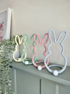 Stand Up Bunny