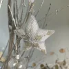 Star Decoration