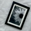 Summer Memories - Small