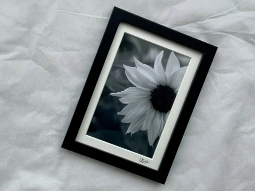 Summer Memories - Small