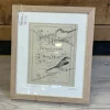 Sunbeam and Moonbeams - Original Pen Drawing on Vintage Sheet Music by