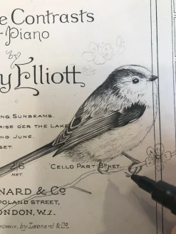 Sunbeam and Moonbeams - Original Pen Drawing on Vintage Sheet Music by