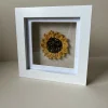Sunflower Frame