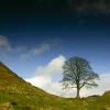 Sycamore Gap (A4 frame)