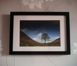 Sycamore Gap (A4 frame)