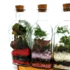 Tall Square Terrarium 500ml