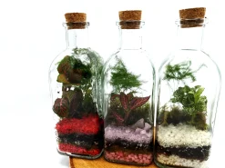 Tall Square Terrarium 500ml