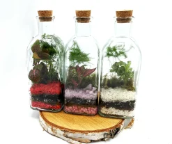 Tall Square Terrarium 500ml