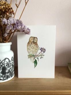 Tawny Owl and Ivy Berries Card