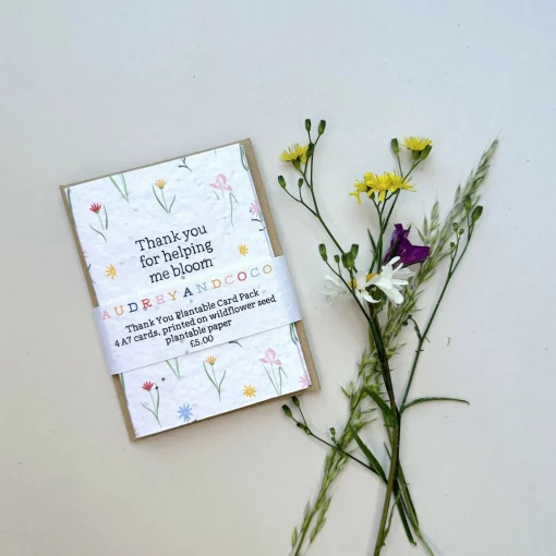 Thank You Teacher Mini Card Pack