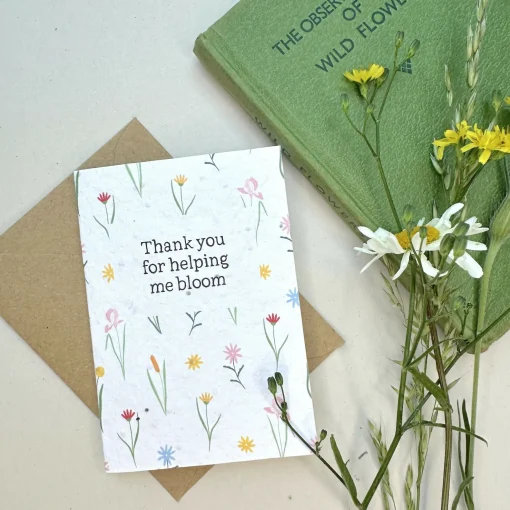 Thank You Teacher Mini Card Pack