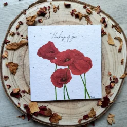Thinking of you Poppy plantable card