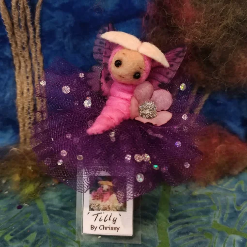 Tilly, by Chrissy