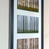 Trio - vertical pano