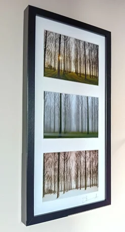 Trio - vertical pano