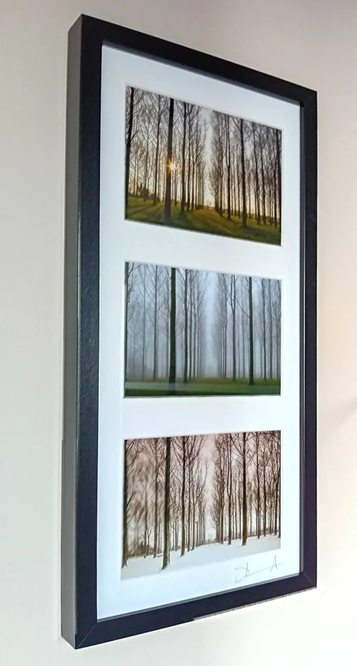 Trio - vertical pano