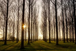 Trio - vertical pano