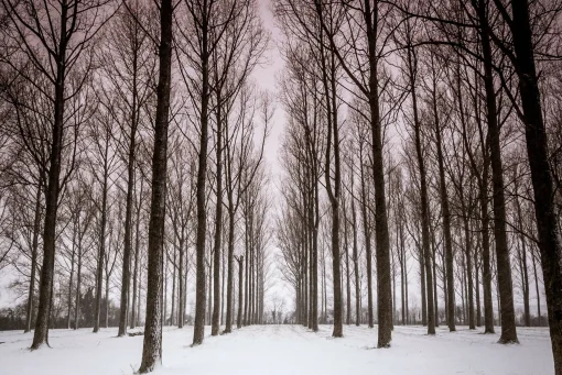 Trio - vertical pano