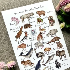 Unusual Animals Alphabet Art Print