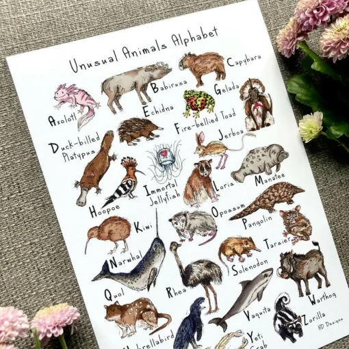 Unusual Animals Alphabet Art Print