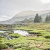 View From Kilchoan
