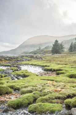 View From Kilchoan