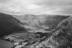 View From Robinson - A3 Mounted