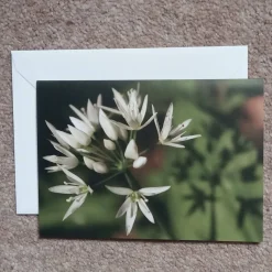 Wild garlic - card