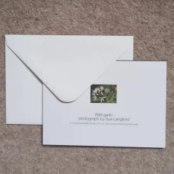 Wild garlic - card