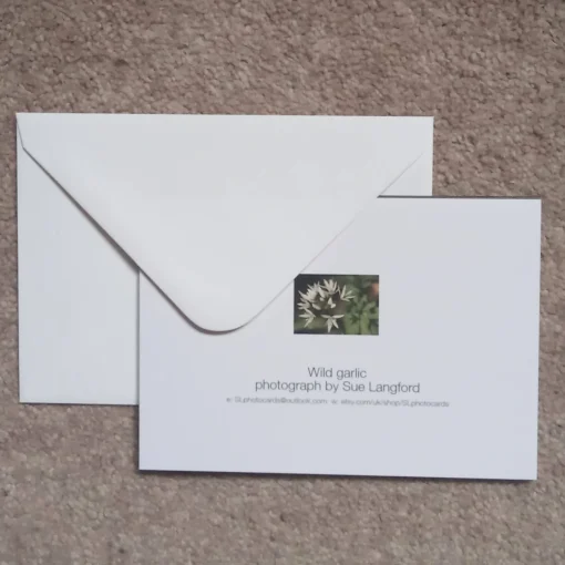 Wild garlic - card