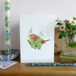 Wren and Snowdrops Greetings Card