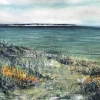 YORKSHIRE COAST - ACROSS THE WATER TO FLAMBOROUGH - CARD
