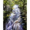 Yorkshire Dales River