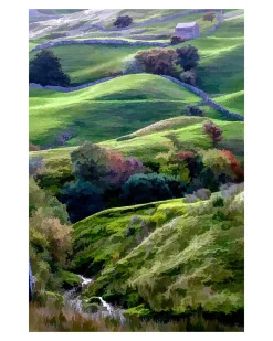 Yorkshire Dales Stream